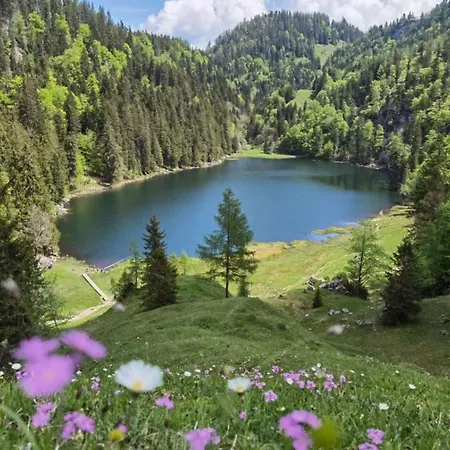 阿姆阿琴格伦德公寓